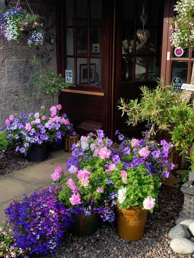 The Old Station Guest House St Andrews Esterno foto